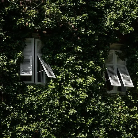 Parkhotel Mondschein, A Member Of Design 4* 博尔扎诺