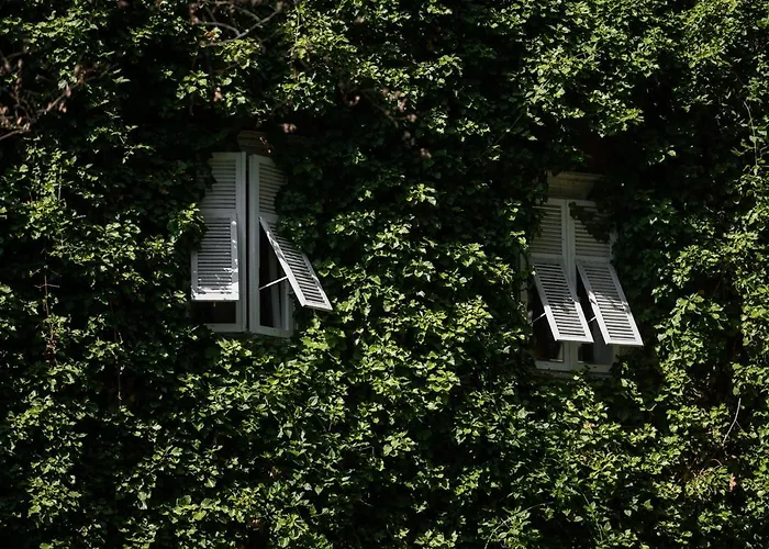 Parkhotel Mondschein, A Member Of Design 4* Bolzano